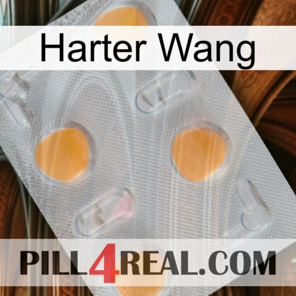 Hard Wang 24